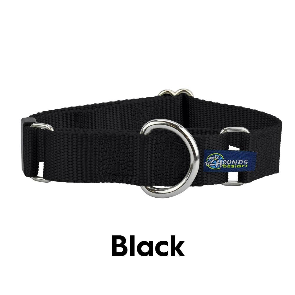 5/8" and 1" Martingale Nylon Dog Collar: 1" X-Large / Teal