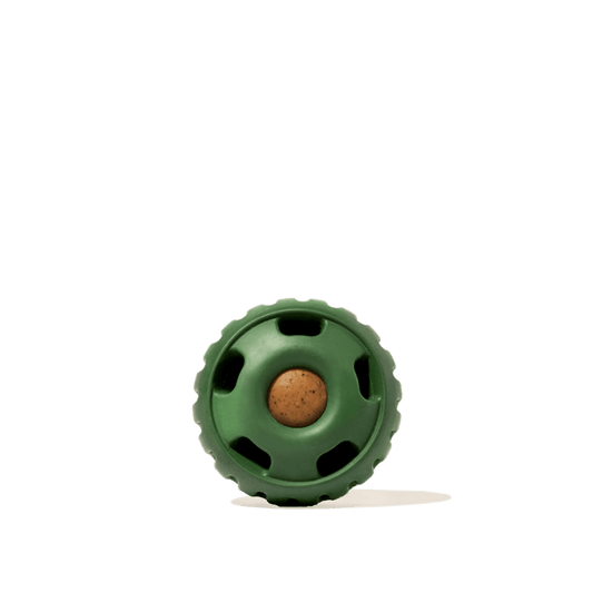 The Pupsicle: Large