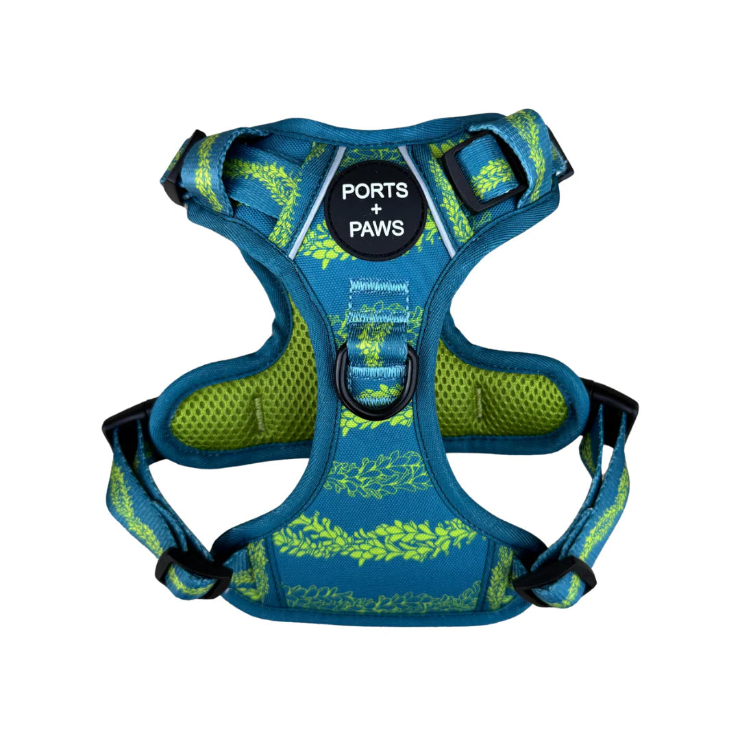 PORTS + PAWS  RUGGED HARNESS - PAKALANA