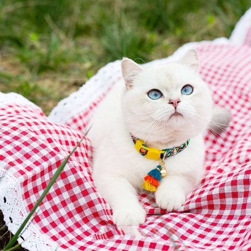 Mokka - Adjustable Cat Collar with Bell: Purple