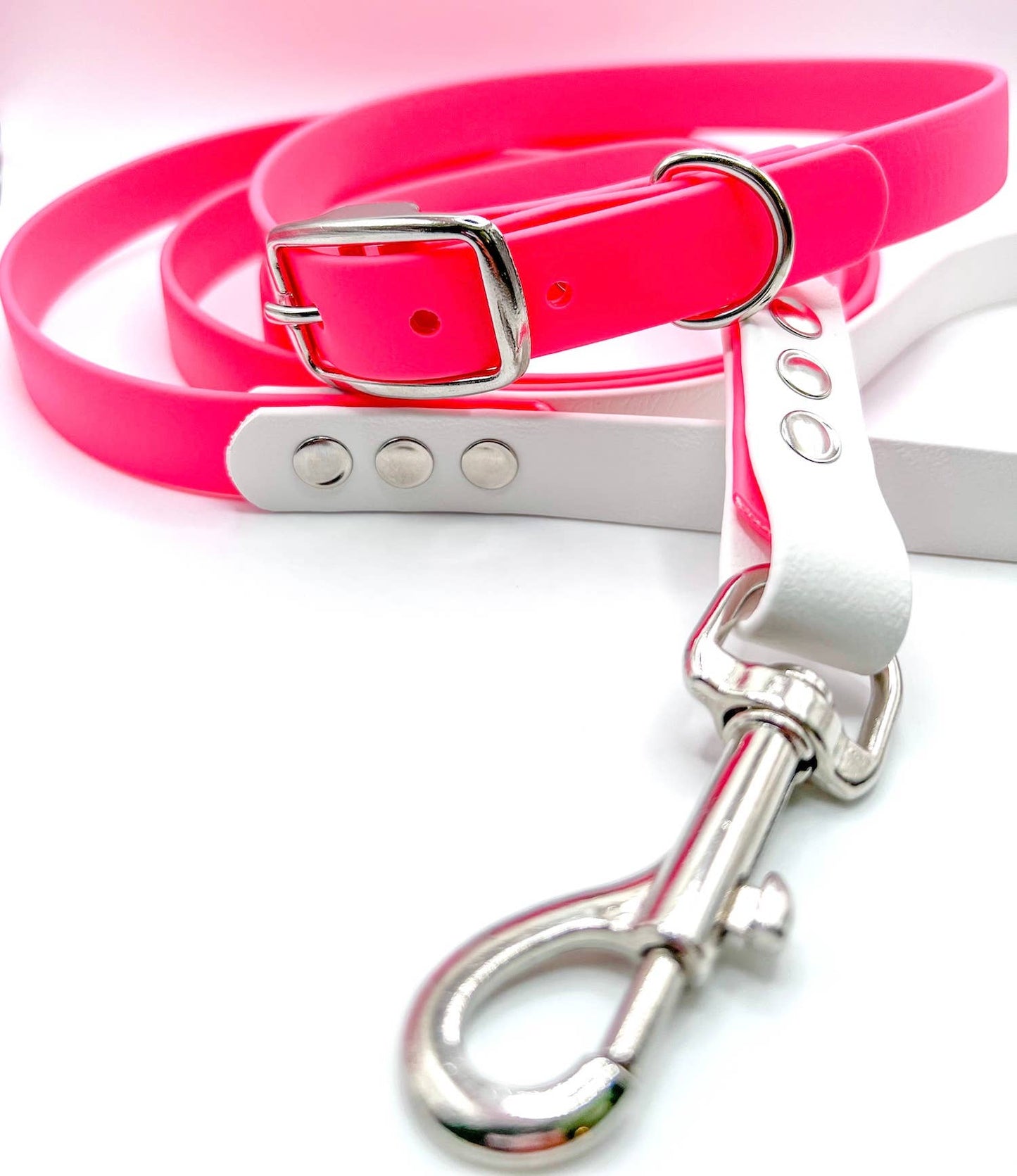 BioThane Leash: Sage/White