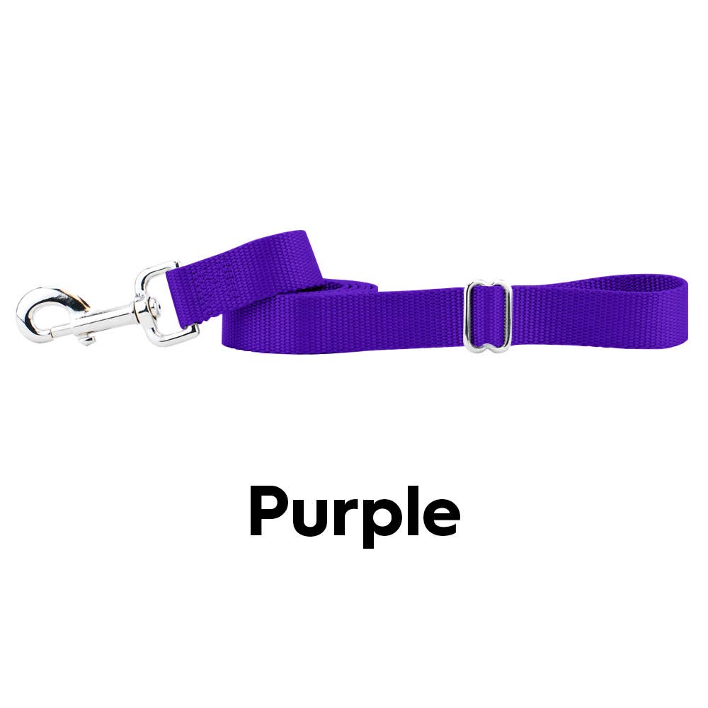 5/8" and 1" Premium Nylon Dog Leash - 6': Teal / 1 Inch