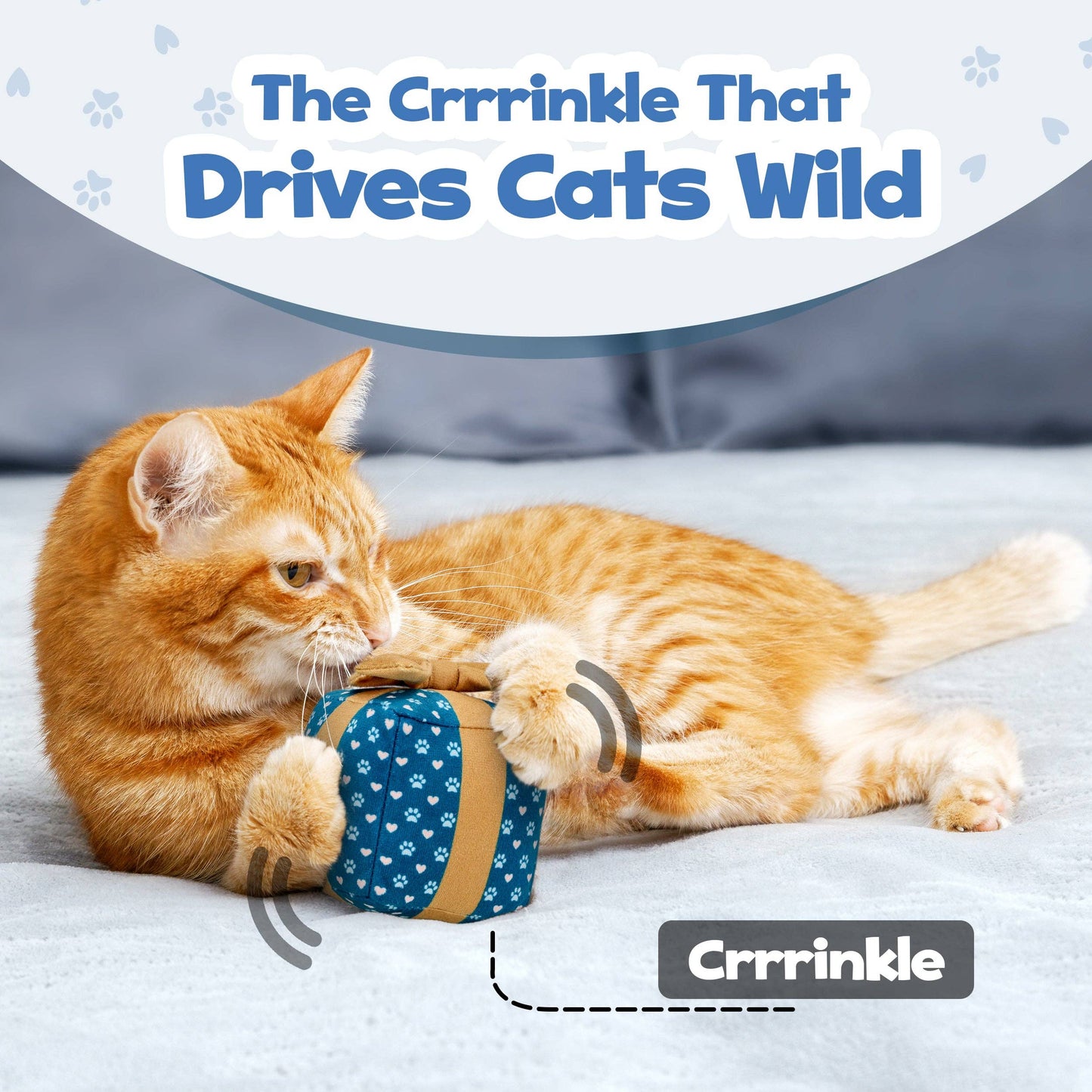 Catnip Gift Box Cat Toy- Christmas & Birthday Toy