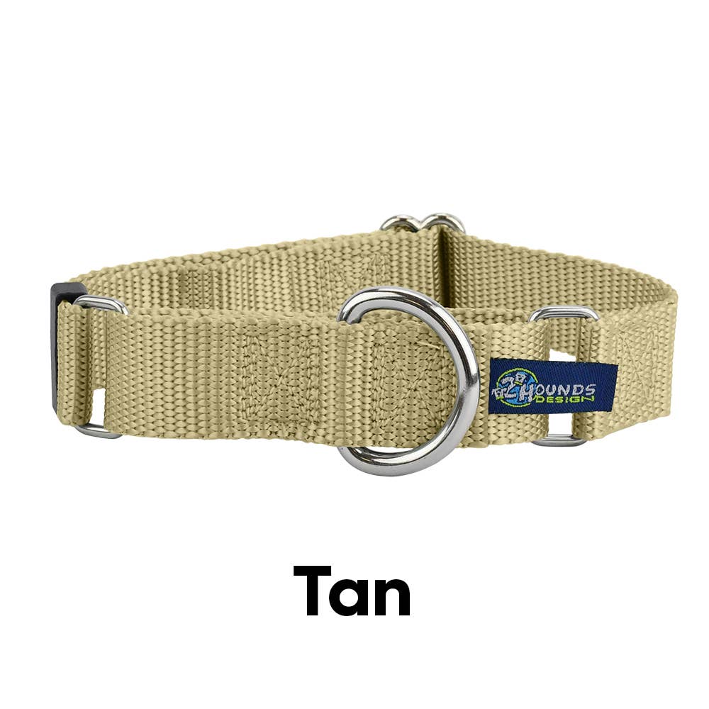 5/8" and 1" Martingale Nylon Dog Collar: 1" X-Large / Teal
