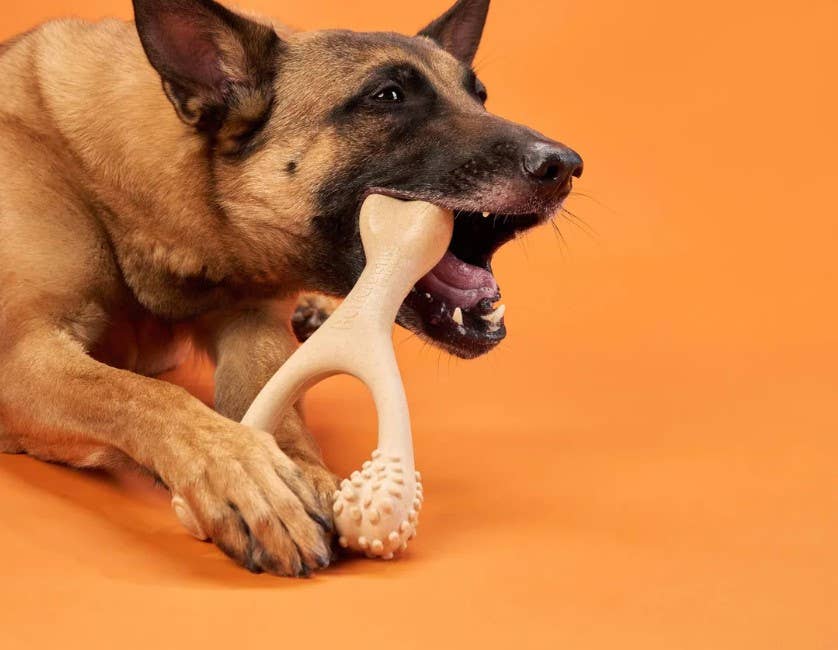 BetterBone Soft Beef Dog Chew Toy Small