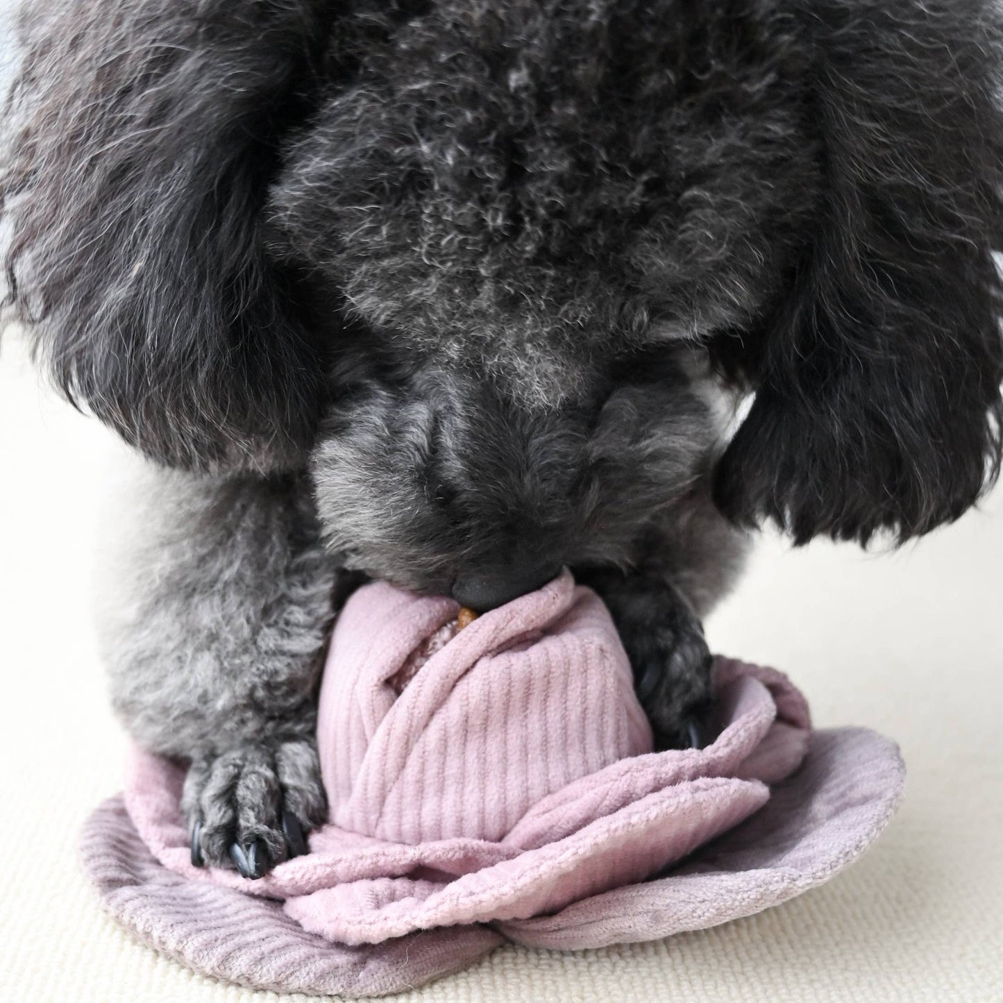 CABBAGE POP//ENRICHMENT DOG TOY: Green / Medium