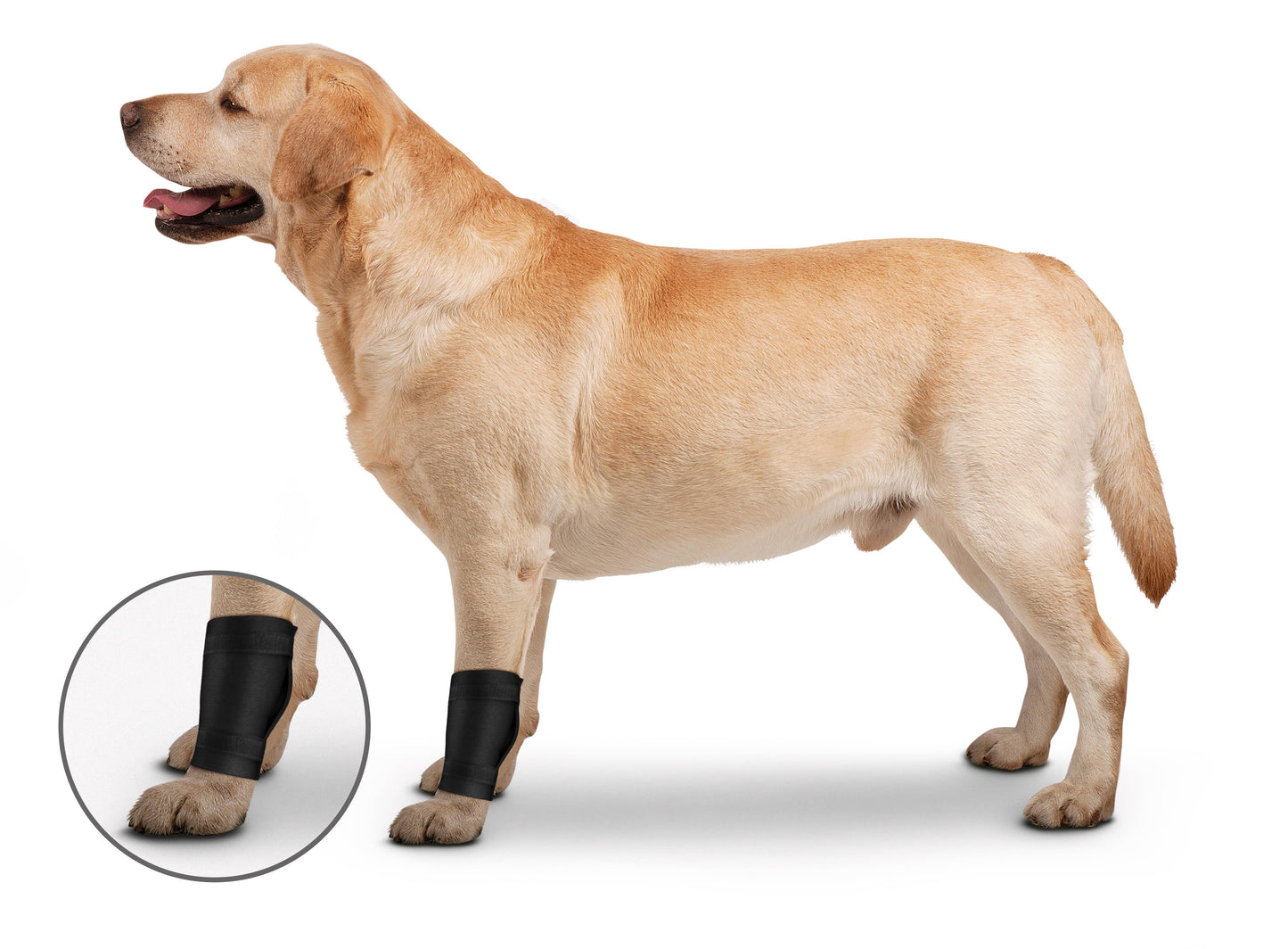 OrthoWrap Ligament Protector: Medium