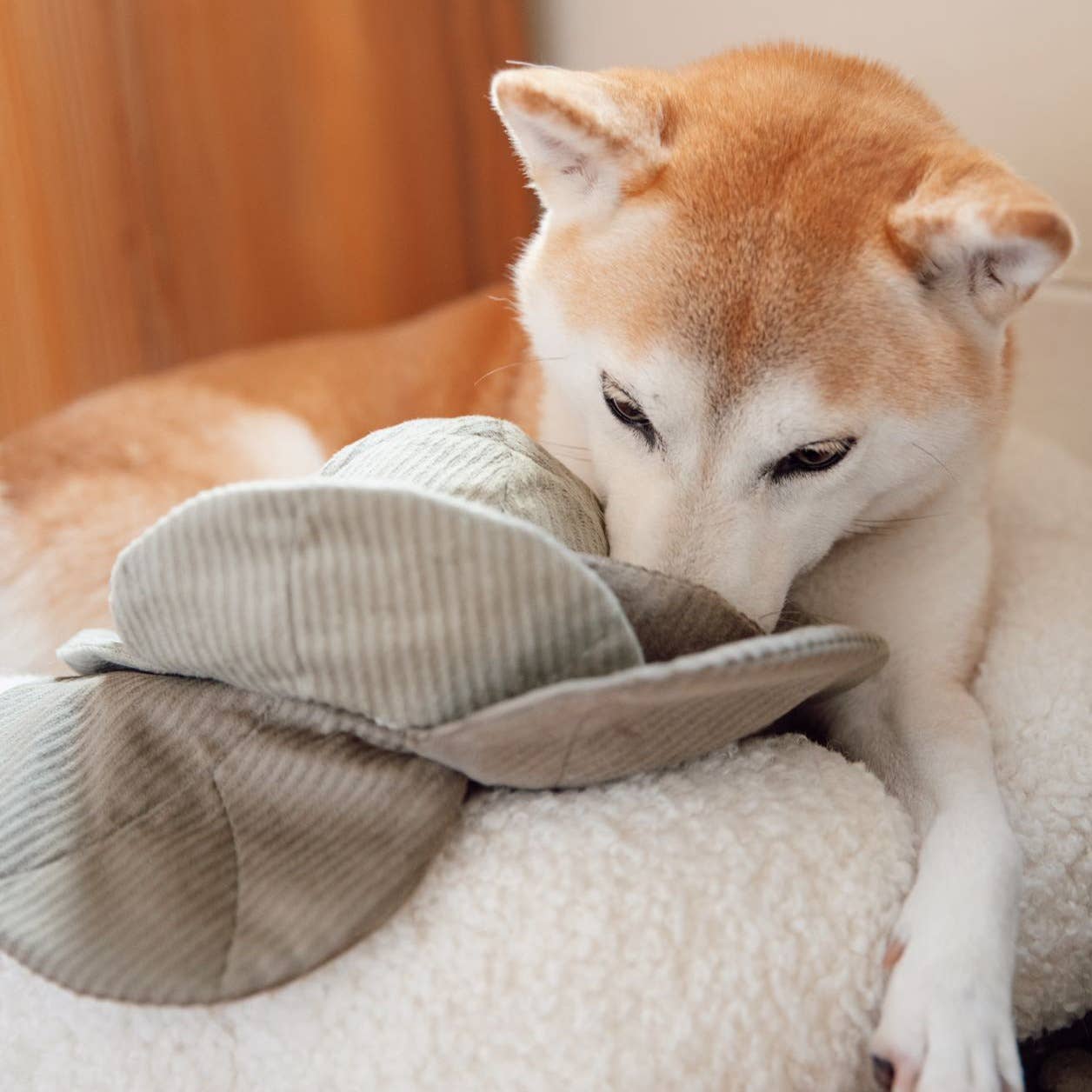 CABBAGE POP//ENRICHMENT DOG TOY: Green / Medium