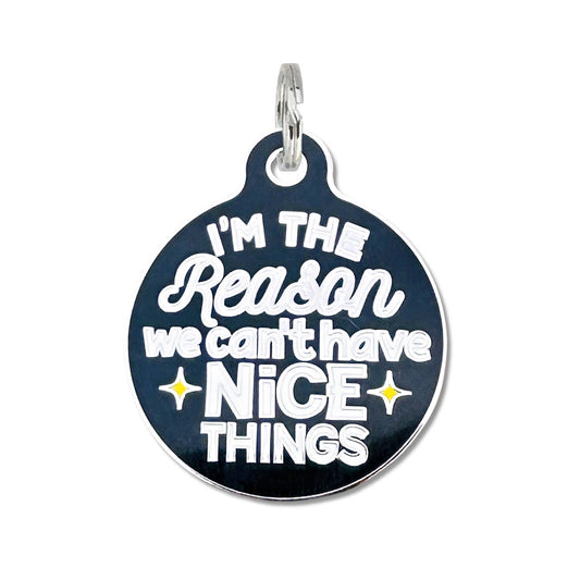 Personalized Dog ID Tag Charm - Can't Have Nice Things: Engraved QR Code / Small 1"