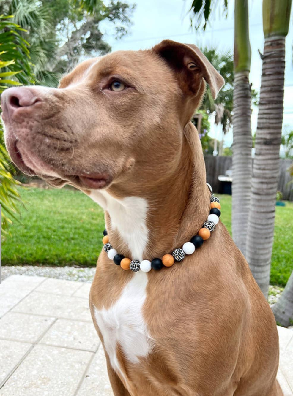 Wild Thing | Beaded Dog Necklace: 9"