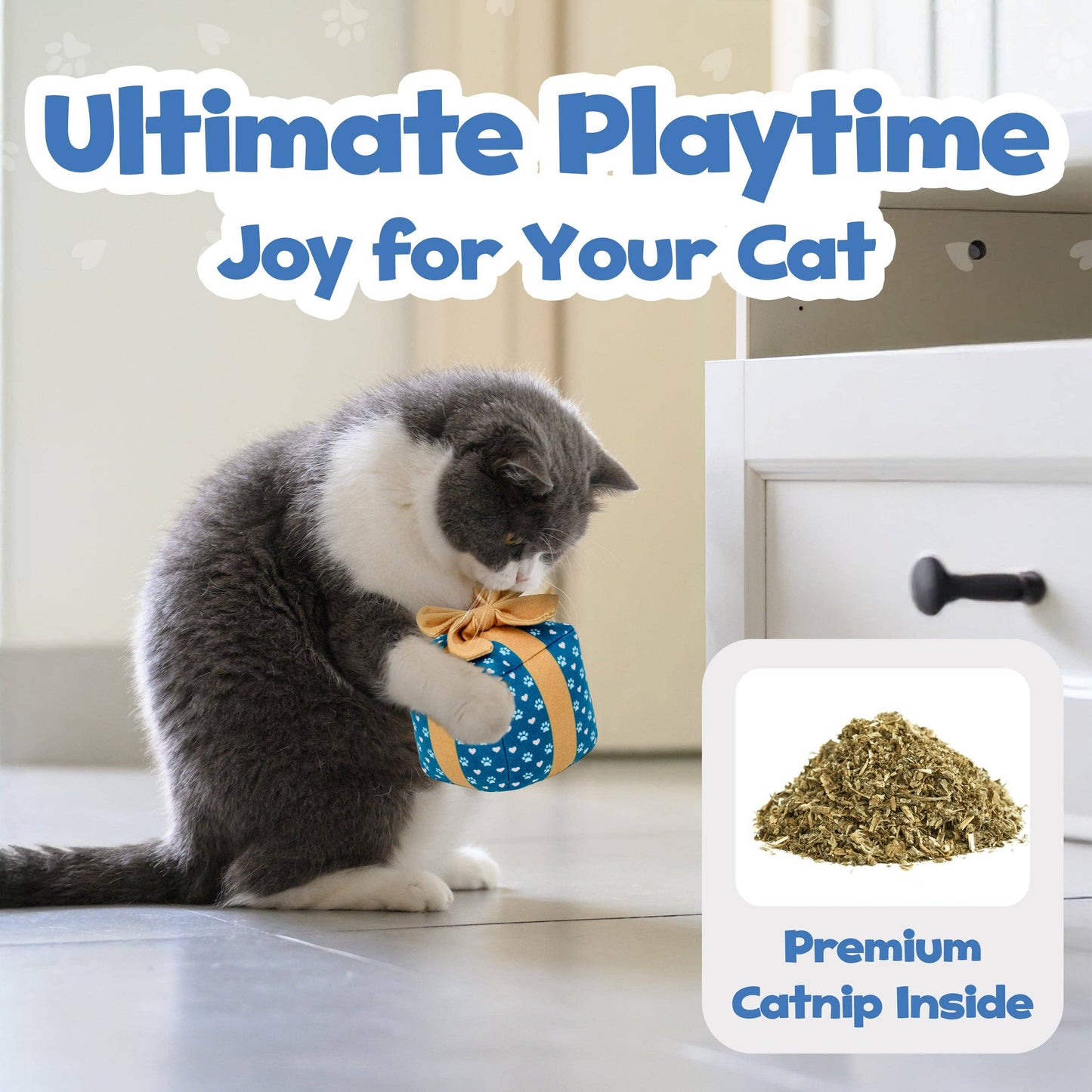 Catnip Gift Box Cat Toy- Christmas & Birthday Toy