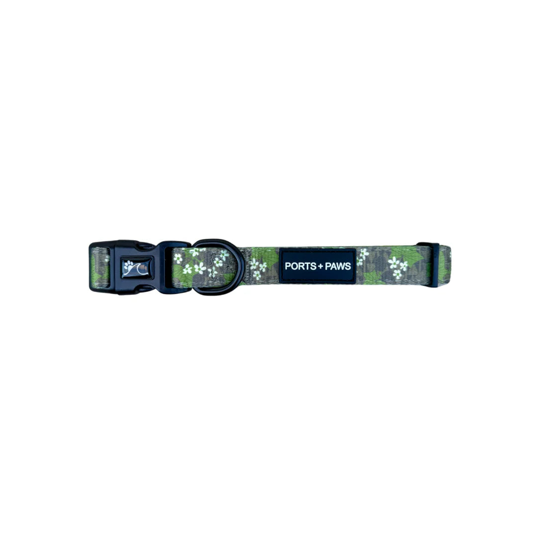PORTS + PAWS  COLLAR - MOLOKAʻI PUA KUKUI NUT