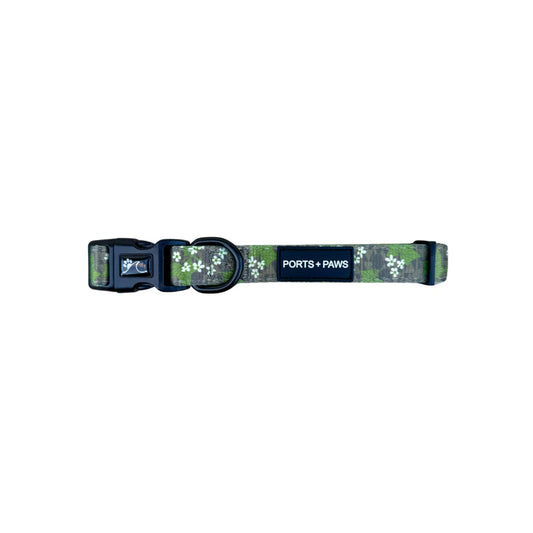 PORTS + PAWS  COLLAR - MOLOKAʻI PUA KUKUI NUT