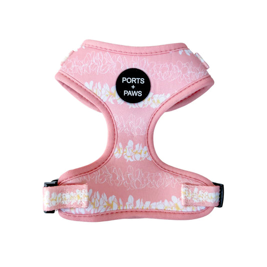 PORTS + PAWS  ADJUSTABLE HARNESS - PLUMERIA