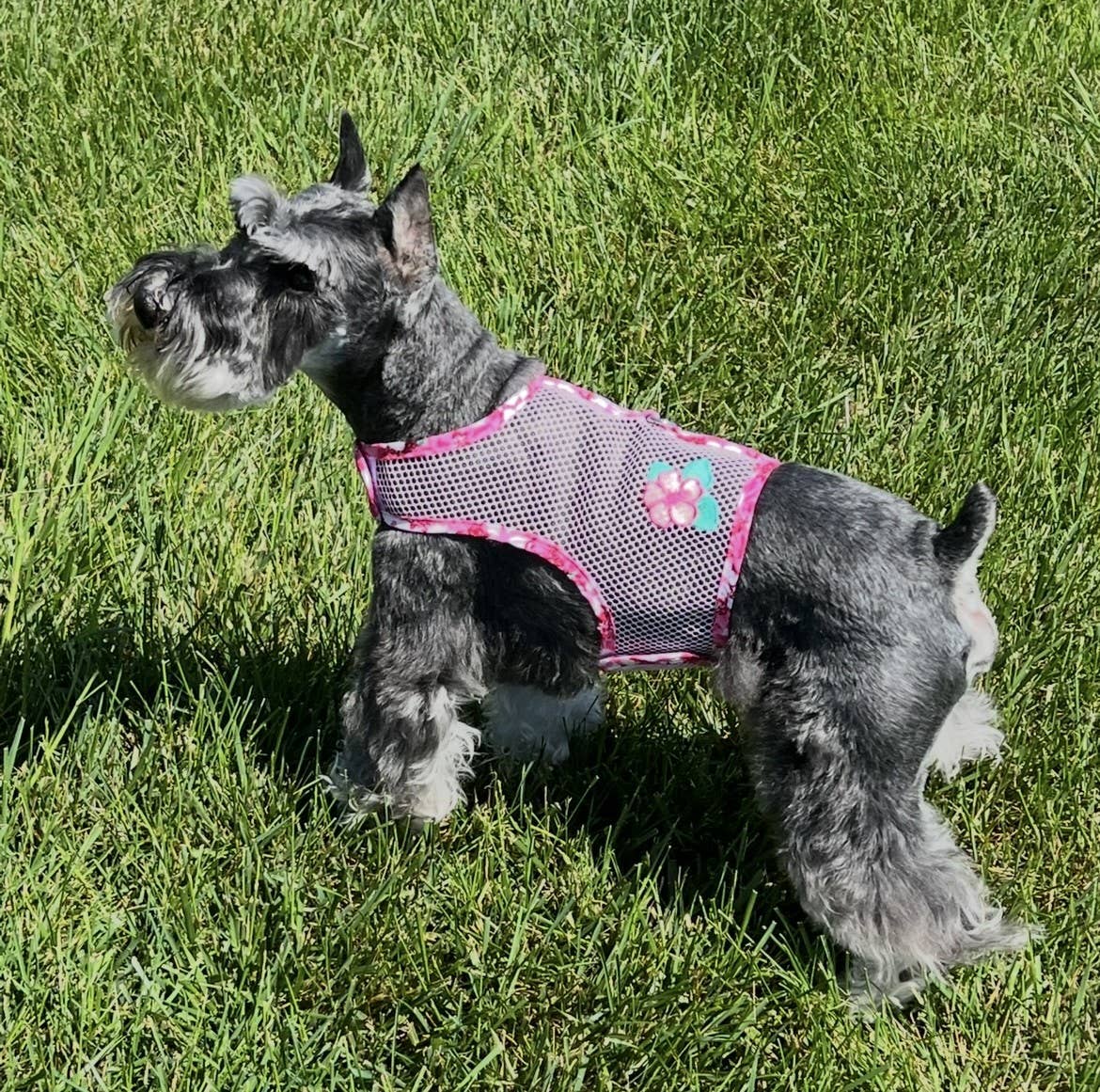 Cool Mesh Dog Harness - Hawaiian Hibiscus Pink: X-Small