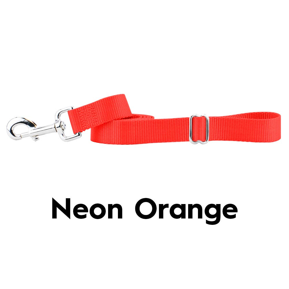 5/8" and 1" Premium Nylon Dog Leash - 6': Black / 1 Inch