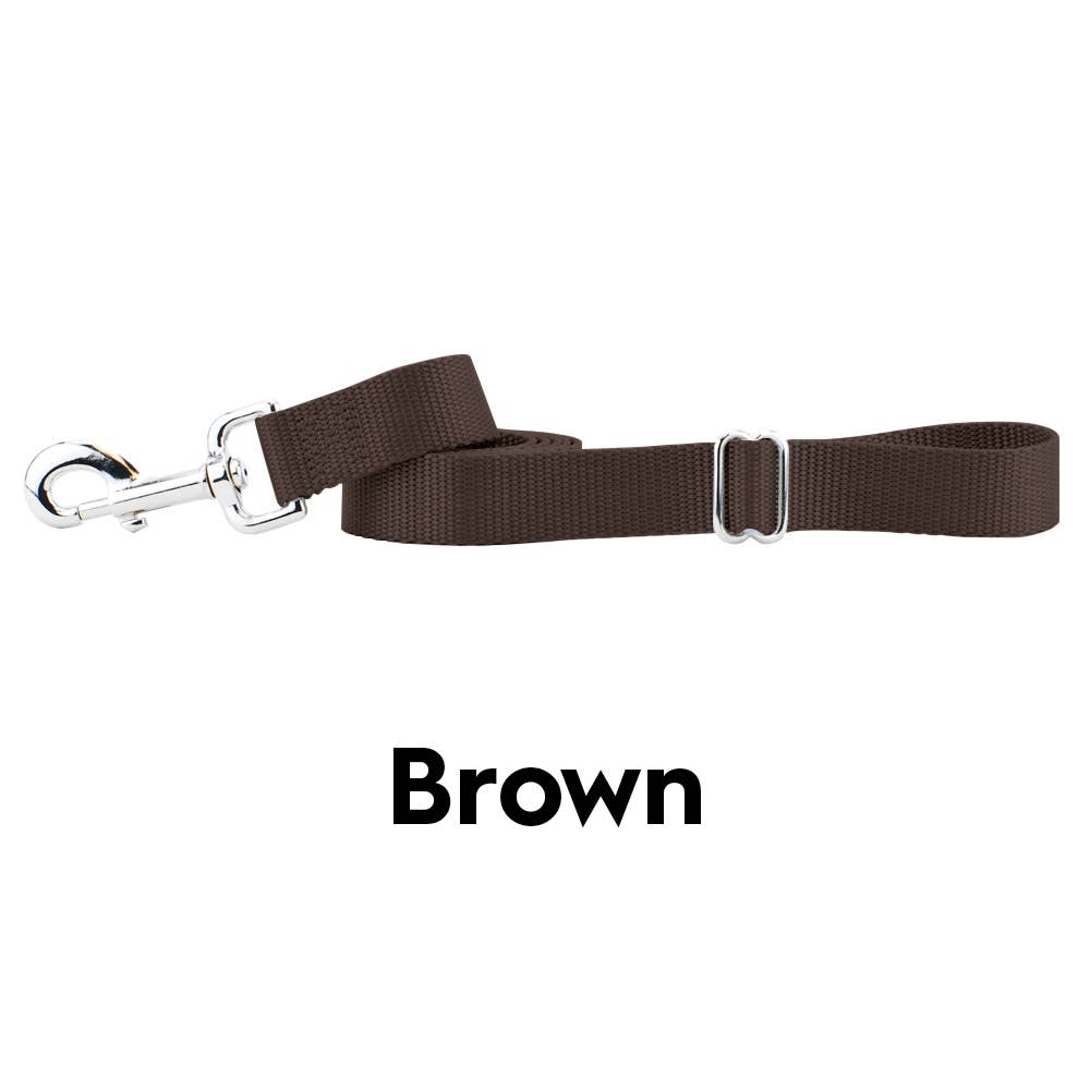 5/8" and 1" Premium Nylon Dog Leash - 6': Teal / 1 Inch