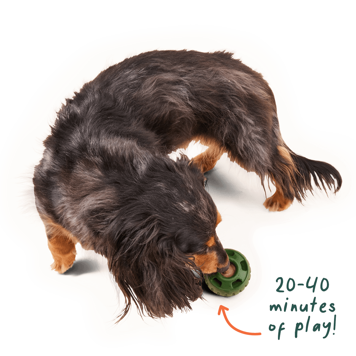 Pupsicle Pops: Beef / Small