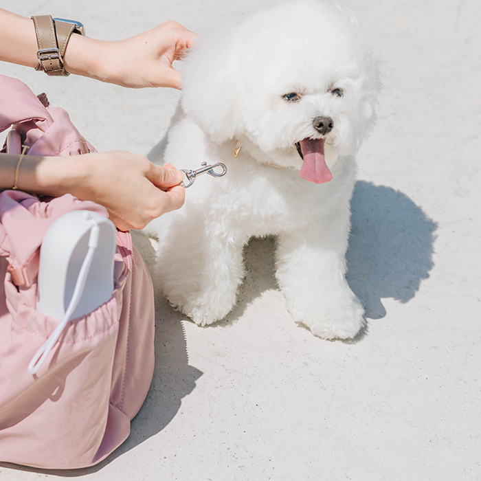 Snuggle Petite Pet Carrier | For Small Dogs & Cats: Black