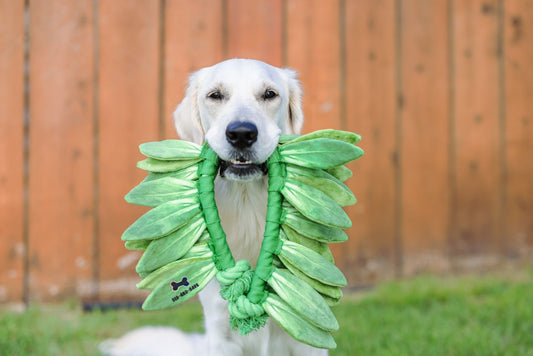 Dis and Bark Maile Lei Rope Toy