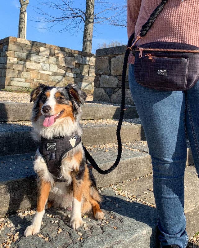 Hands Free Rope Leash - Noir: 7 feet