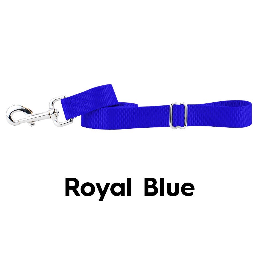 5/8" and 1" Premium Nylon Dog Leash - 6': Teal / 1 Inch