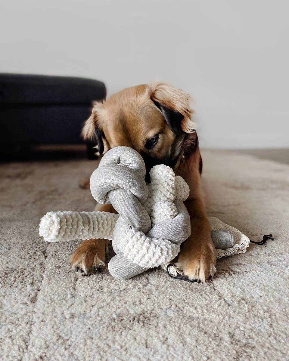 NOU | squeakers//ENRICHMENT DOG TOY: Cream