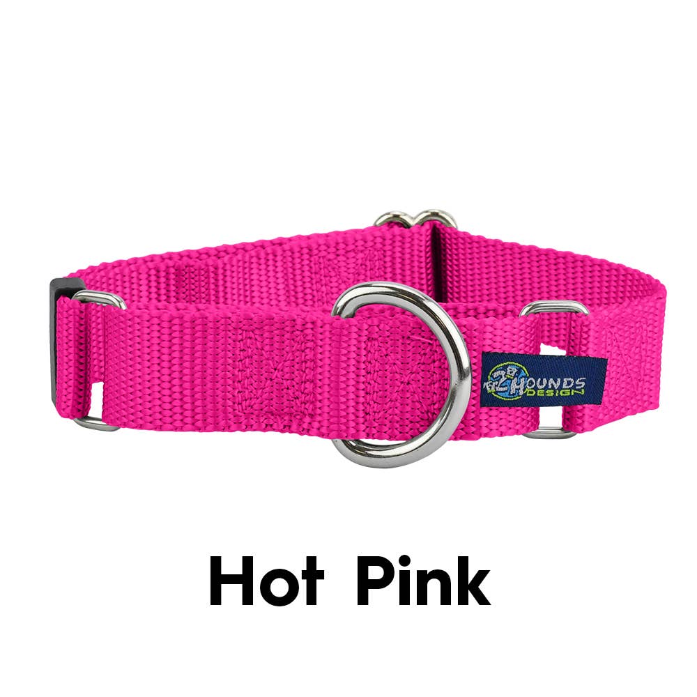5/8" and 1" Martingale Nylon Dog Collar: 1" XX-Large / Tan