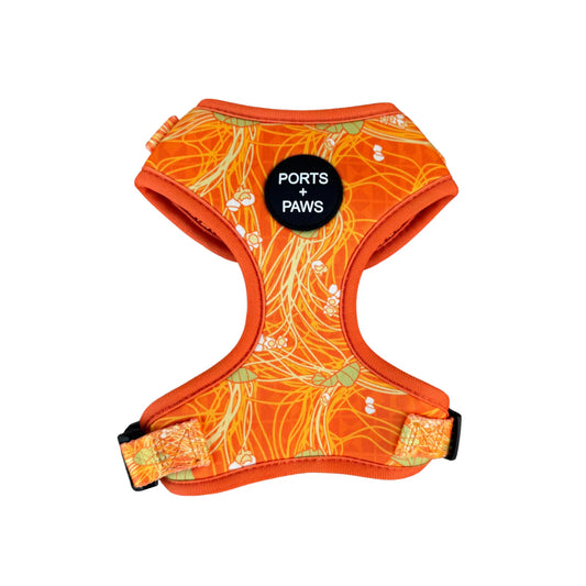 PORTS + PAWS  ADJUSTABLE HARNESS - LĀNAʻI KAUNAʻOA