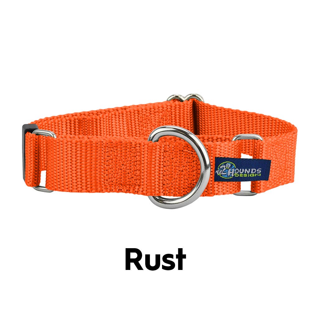 5/8" and 1" Martingale Nylon Dog Collar: 1" X-Large / Teal