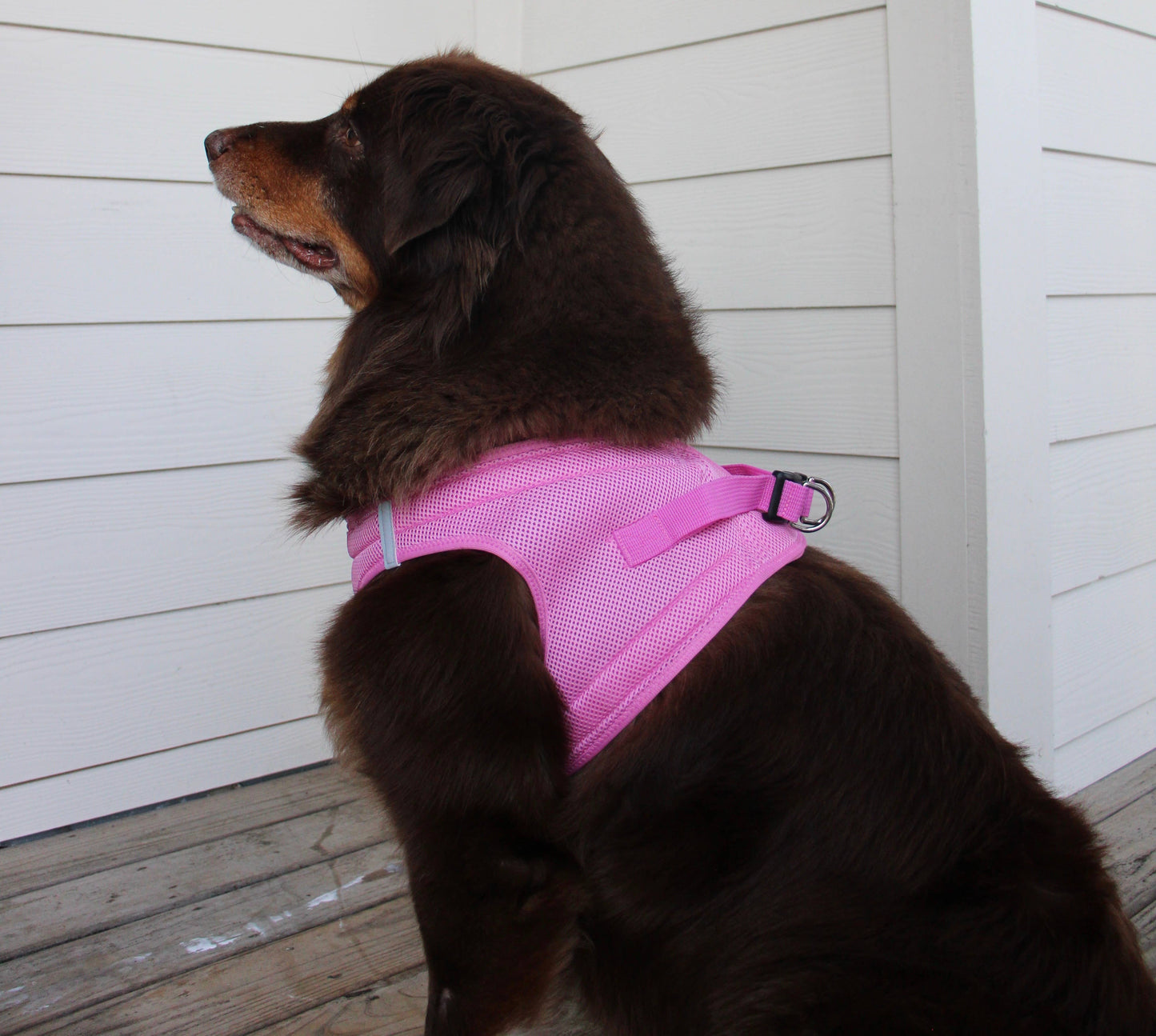 American River Solid Dog Harness - Candy Pink: Medium