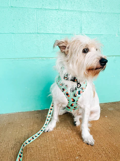 Coopmonster's Spam Neoprene Harness