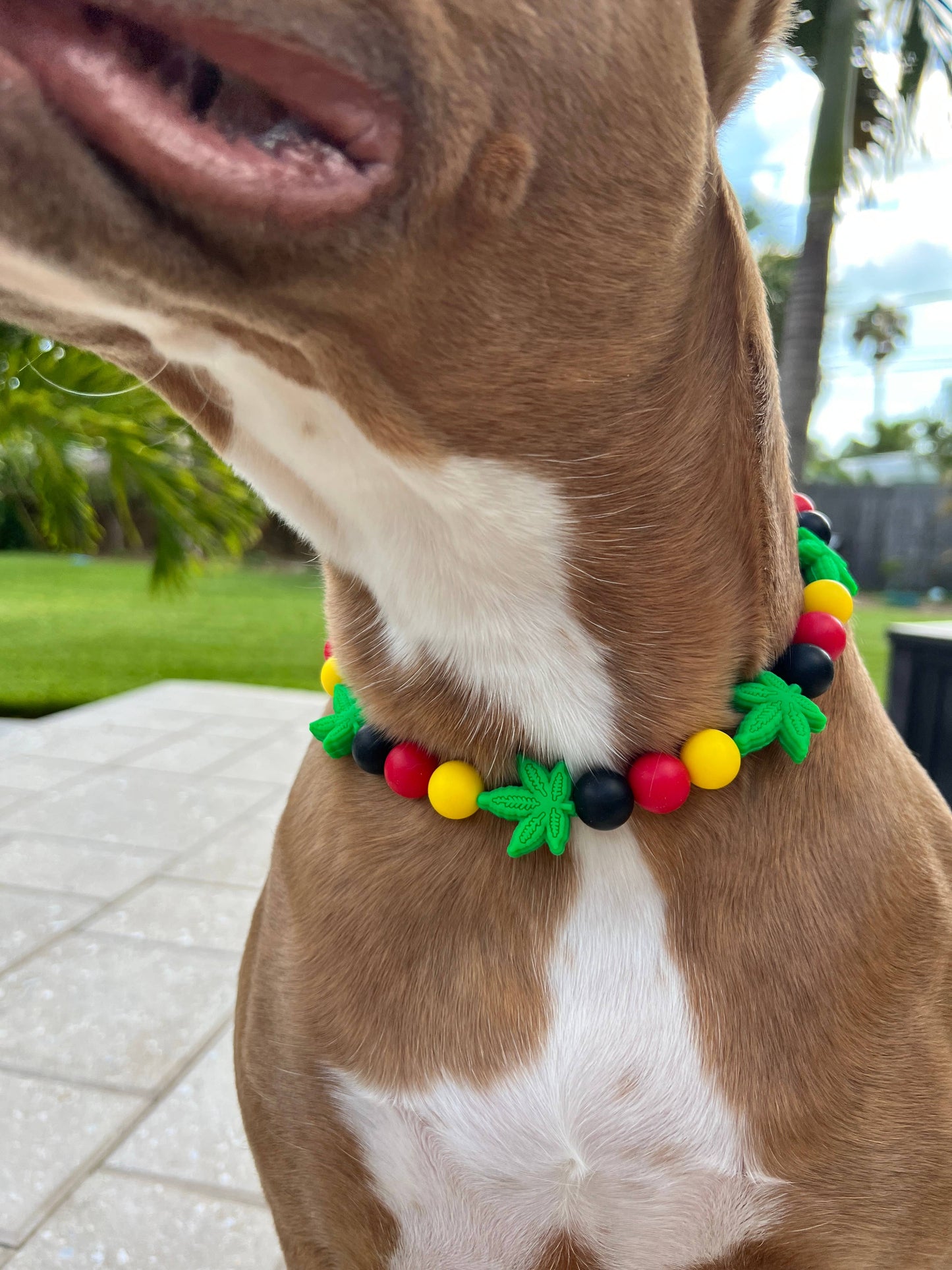 Best Buds | Beaded Dog Collar  : 22"