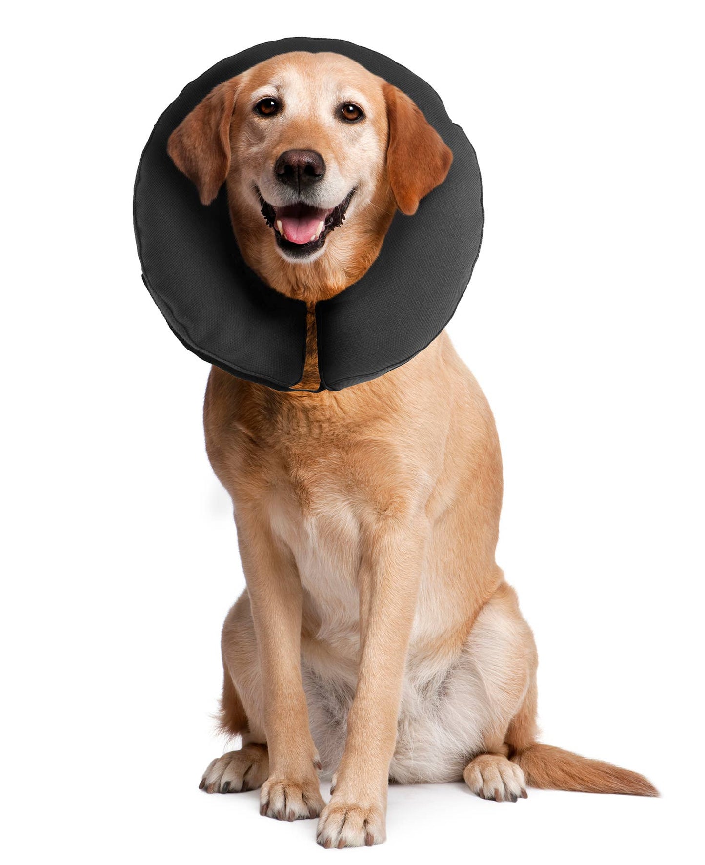 ZenCollar - Inflatable Recovery Collar: Large (13-16 in.)