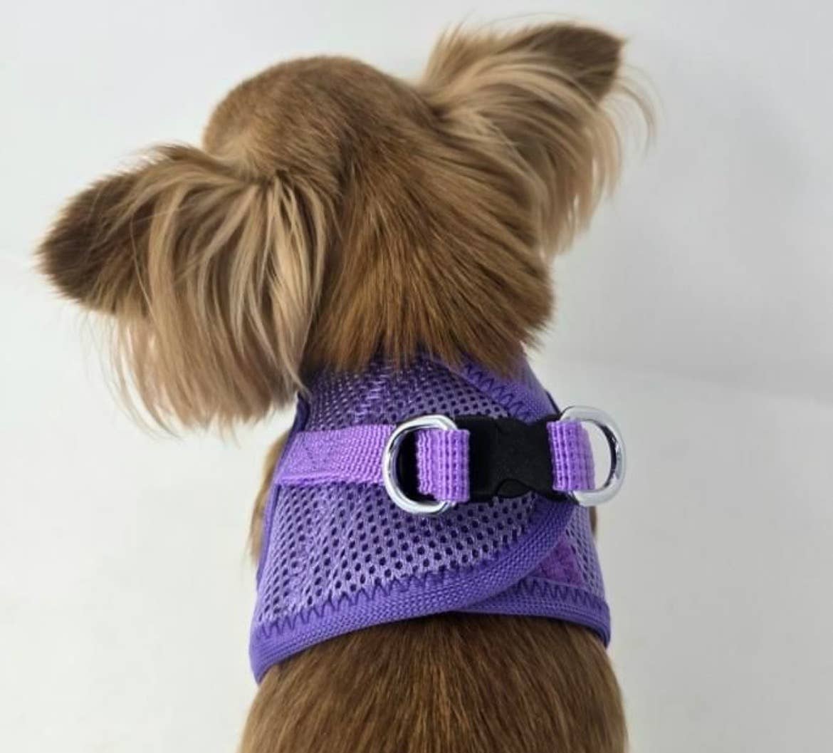 American River Solid Dog Harness - Paisley Purple: XX-Small