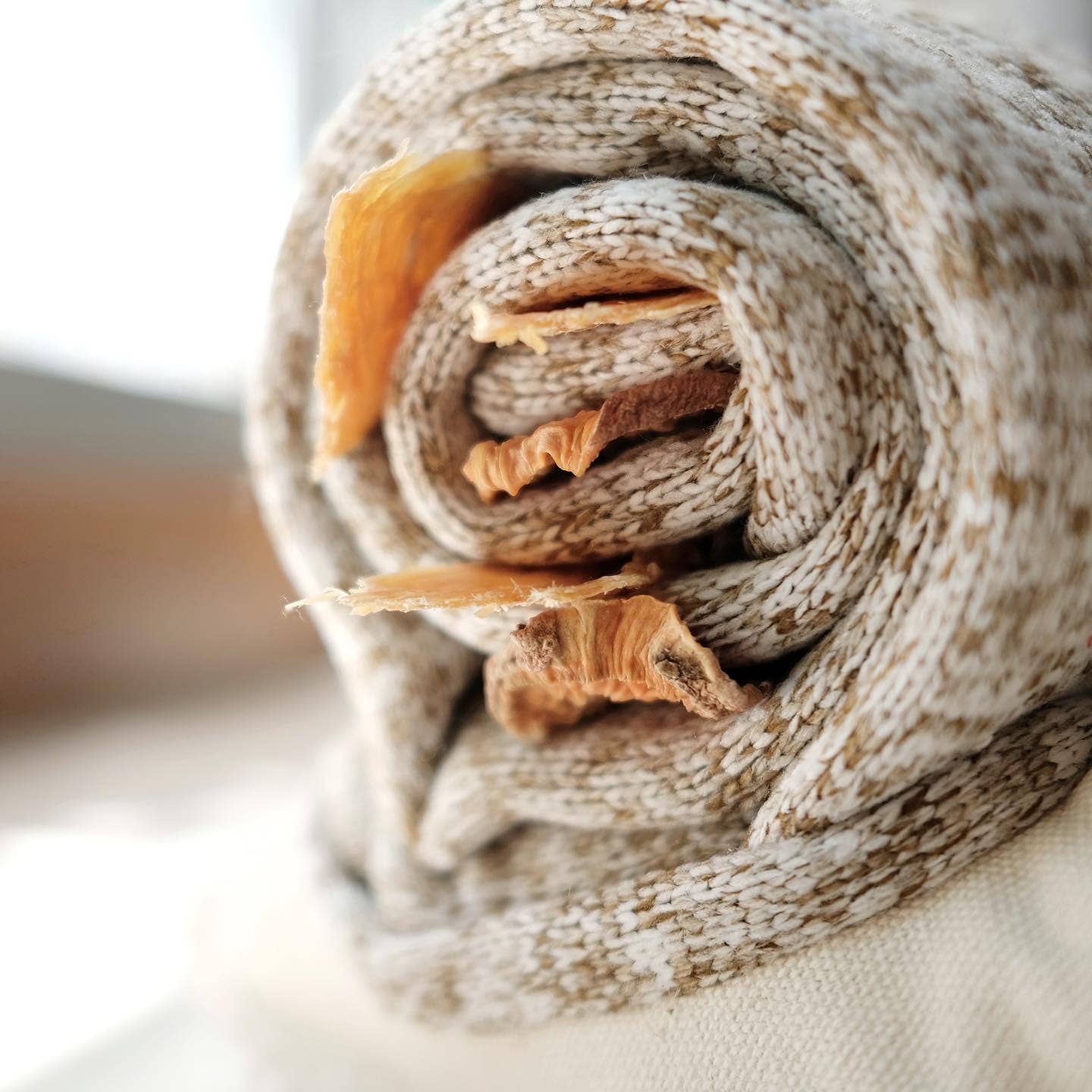 SNAIL//ENRICHMENT DOG TOY