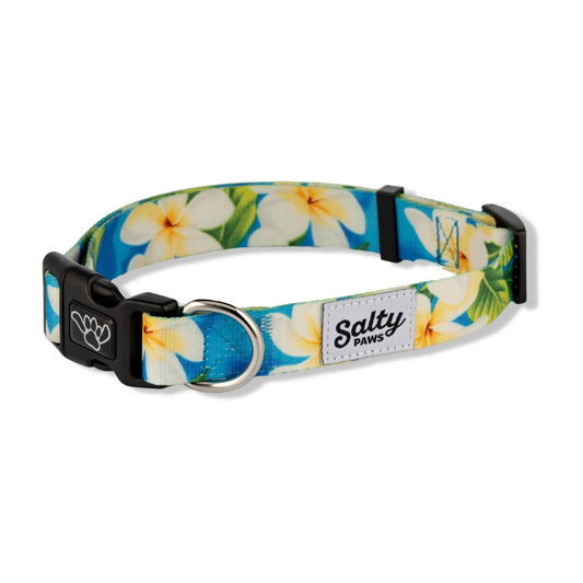 Blue Plumeria Tropical Dog Collar Made with Repreve: Blue Plumeria Print / Large