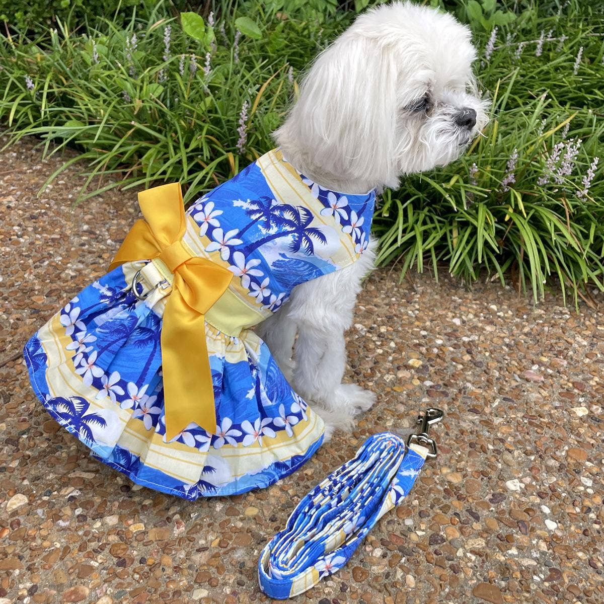Catching Waves Dog Dress w/ Matching Leash: Small