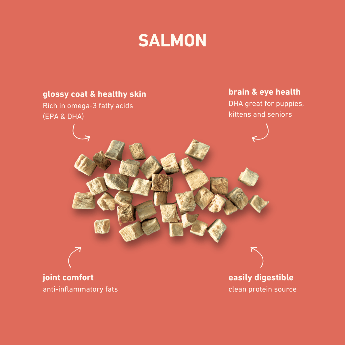 Freeze-Dried Salmon Treats for Dogs & Cats — Single Ingredient, Grab-and-Go Packs: 10-PACK