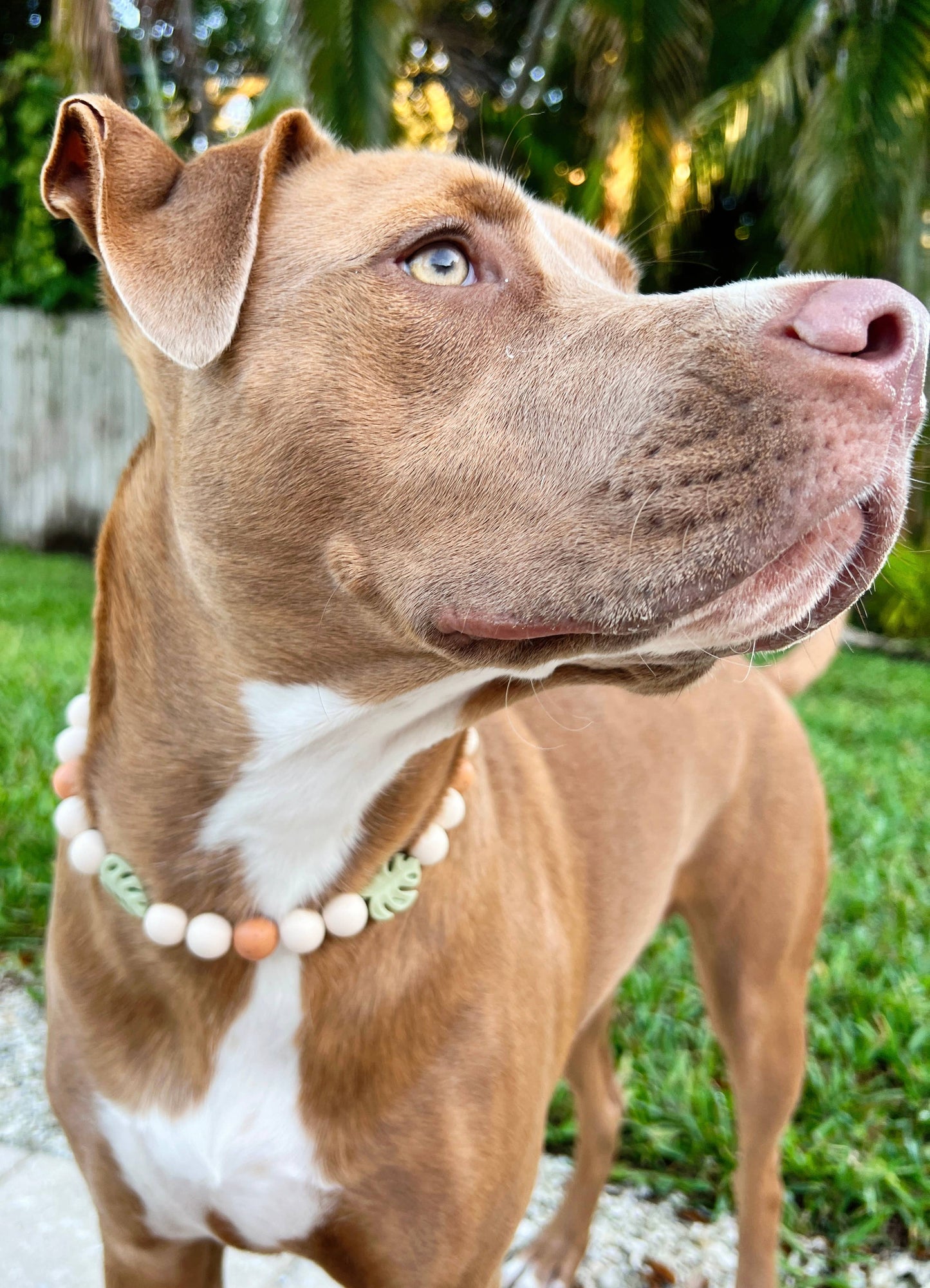 Aloha Necklace : 15"