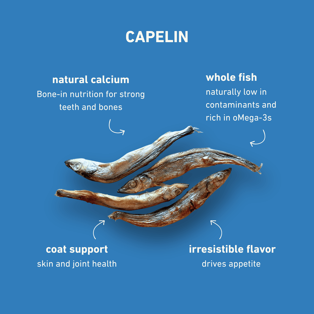Freeze-Dried Capelin Treats for Dogs & Cats — Single Ingredient, Grab-and-Go Packs: 10-Pack