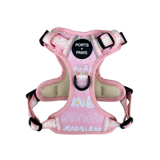 PORTS + PAWS  RUGGED HARNESS - PLUMERIA