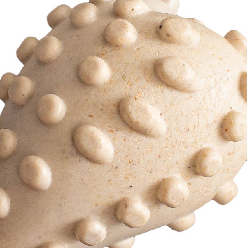BetterBone Hard Classic Dog Chew Toy Small