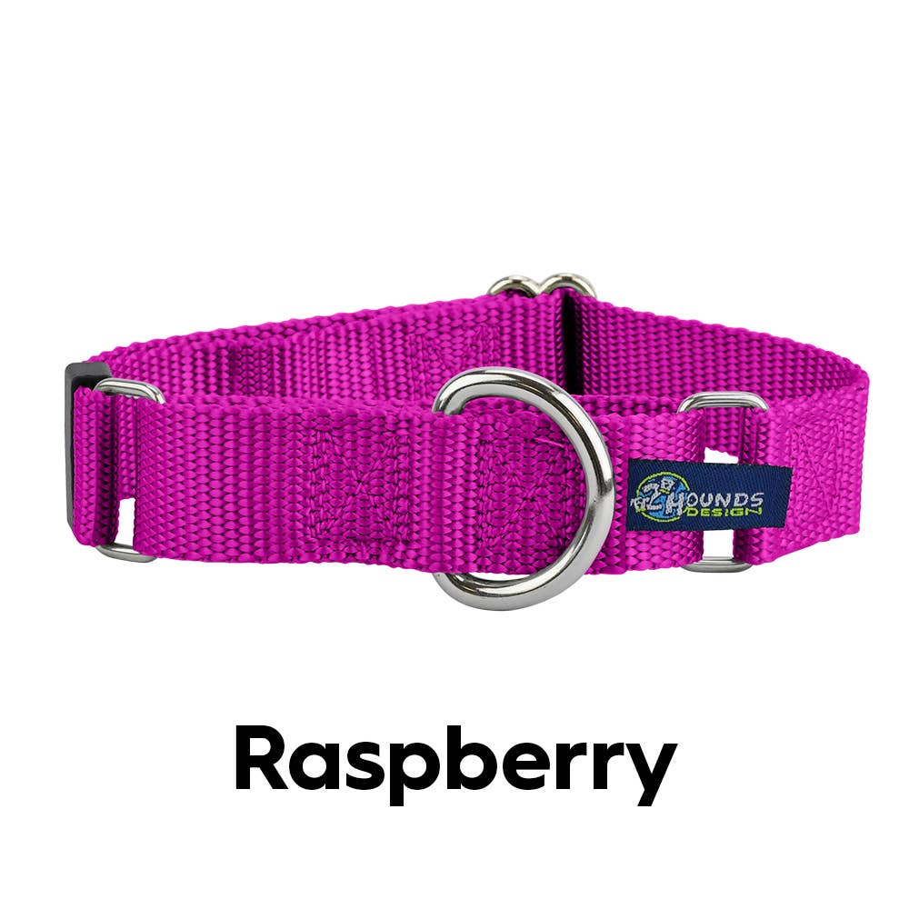 5/8" and 1" Martingale Nylon Dog Collar: 1" XX-Large / Teal