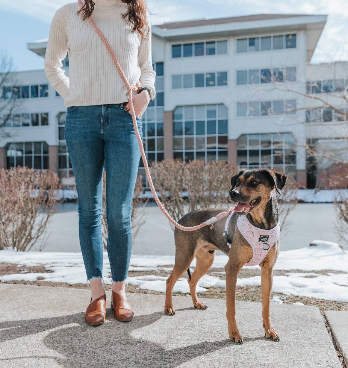 Hands Free Rope Leash - Rose All Day: 7 feet
