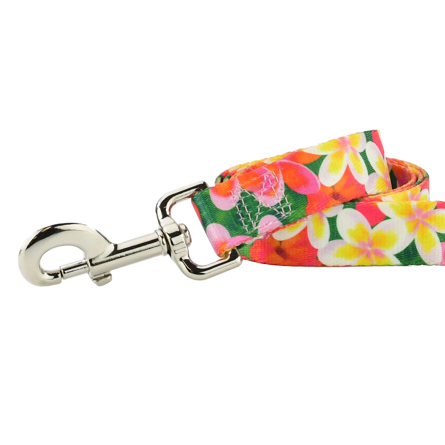 1.5″ EarthStyle Aloha Dog Collar: XX Large (26 - 34 inches) / Side Release Dog Collar / 6' Leash
