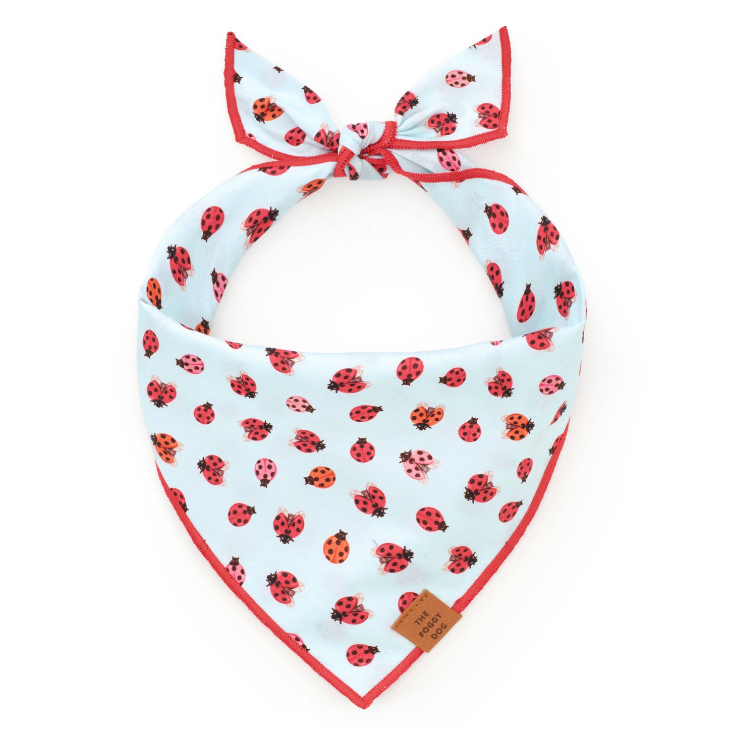 Love Bug Spring Dog Bandana: Medium