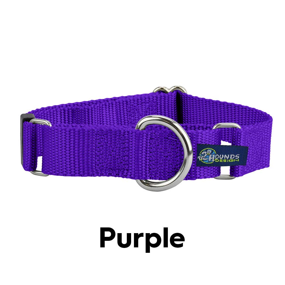5/8" and 1" Martingale Nylon Dog Collar: 1" XX-Large / Tan