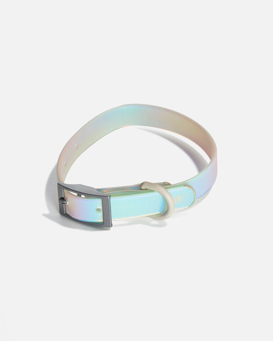 Adjustable Waterproof Fashion Dog Collar: Holographic Lunar / SMALL