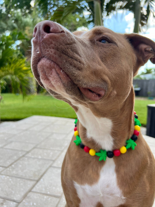 Best Buds | Beaded Dog Collar  : 16"